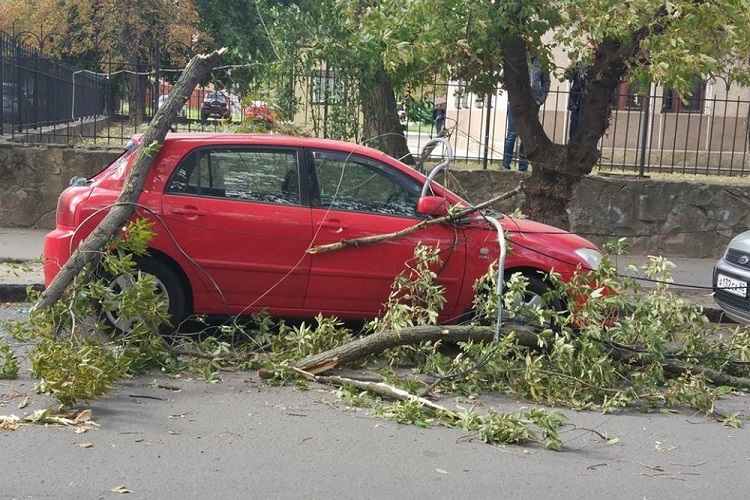 Ветки деревьев упали на авто